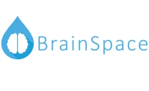 BrainSpace